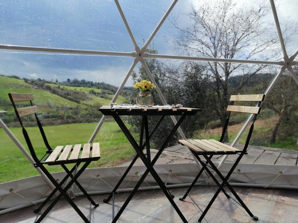 Glamping Quintana Hotell Gijón Eksteriør bilde