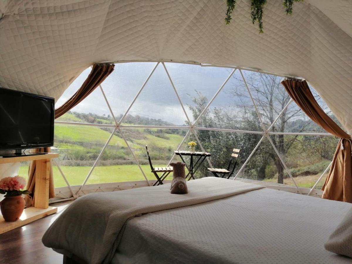 Glamping Quintana Hotell Gijón Eksteriør bilde