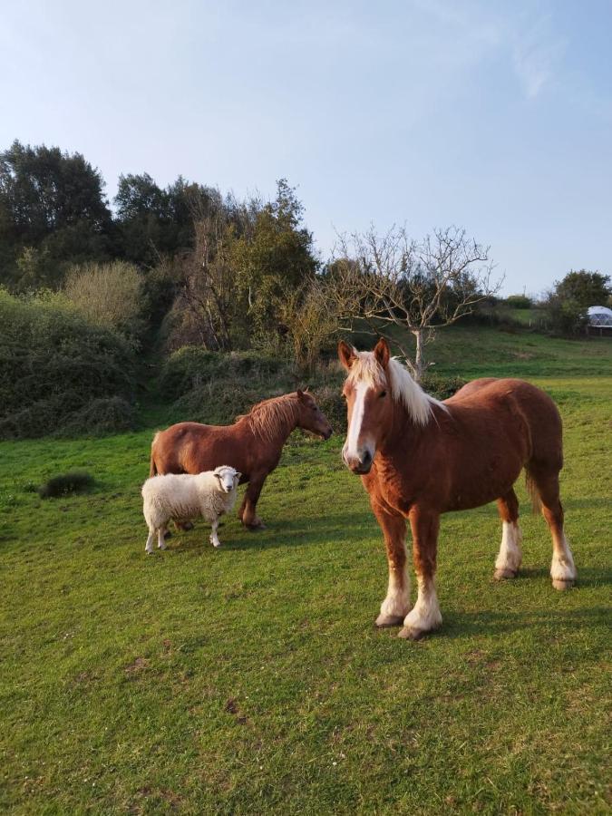 Glamping Quintana Hotell Gijón Eksteriør bilde