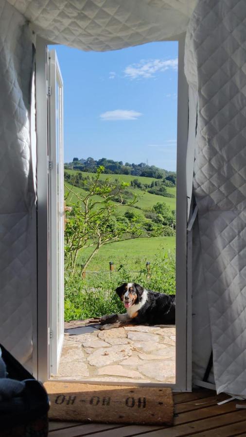 Glamping Quintana Hotell Gijón Eksteriør bilde